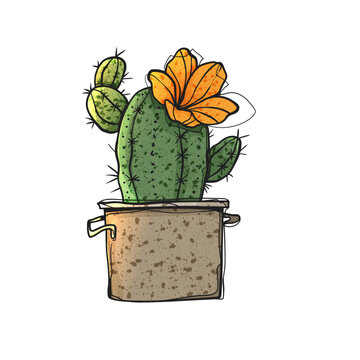 Watercolor Style Vector Blooming Prickly Pear Cactus Orange Flower Metal Pot Hand Drawn