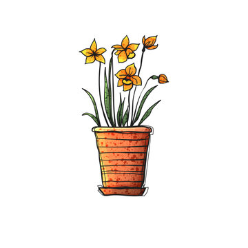 Watercolor Style Vector Daffodil Narcissus Flowers Orange Terracotta Striped Pot Hand Drawn