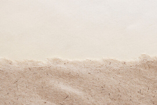 Kraft paper sheet with deckle edge, fiber texture, two tone surface with smooth and rough zones, ideal for design backdrop, mockup. Natural background, paper texture, organic fibers, copy space