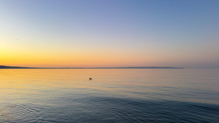 Obraz premium Lone bird floating on calm sea water at sunset. Peaceful ocean surface under a golden sky.