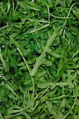 Fototapeta premium Fresh arugula leaves texture full frame Green rocket salad background close up Arugula leaves as natural food texture