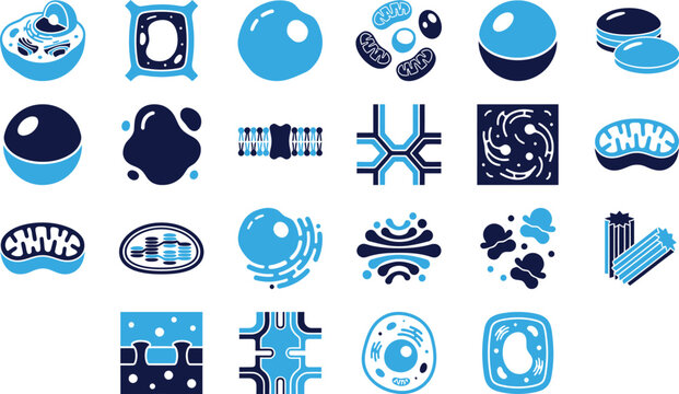 Set of blue and dark blue scientific cell and organelle icons for biology education.