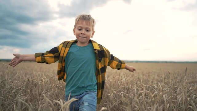 Happy boy running through wheat field spreading arms wide. Child playing in golden grain crop at countryside farm. Young kid enjoys freedom outdoors. Boy explores wheat harvest in rural farmland.