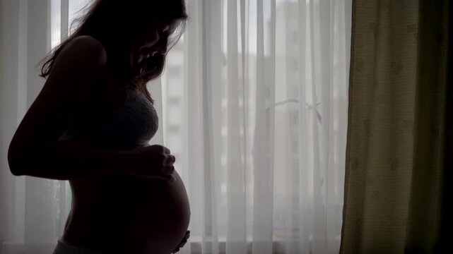 Silhouette pregnant woman standing by window and tenderly stroking her belly. Female anticipating the birth of her baby in bright and serene home interior. Pregnant woman touches big belly with hands