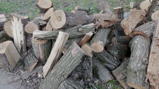 A smooth horizontal movement from left to right shows a pile of chopped firewood and logs on the ground. Various pieces of cut timber with textured bark lie in a heap during a spring day.