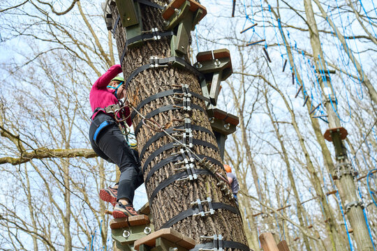 Person in helmet and harness climbing tree obstacle with wooden platforms in adventure park