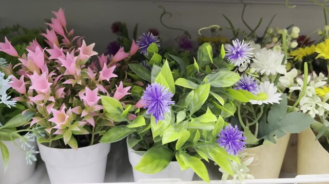 flowers in pots