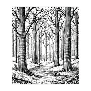 Trees standing on a forest path.