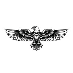 Obraz premium American Bald Eagle in Flight Spread.