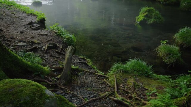 秋田県にかほ市 元滝伏流水の風景 Landscape of Mototaki underground water in Nikaho City, Akita Prefecture