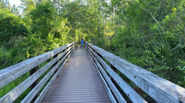 A long wooden walkway stretches forward into lush forest vegetation under bright sunlight. A distant person walking along the trail adds scale and peaceful outdoor exploration mood.