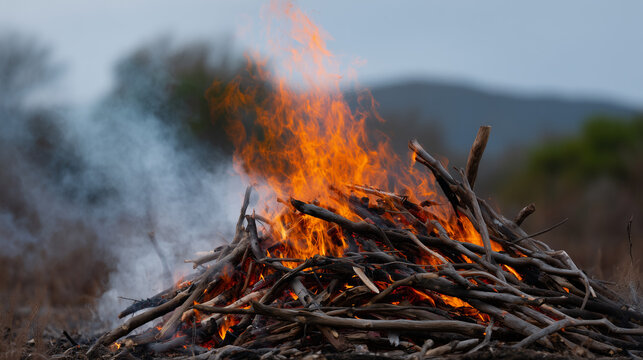 Large wood pile burning outdoors with flames and smoke, bonfire and firewood concept, natural heat, rural burning, campfire, orange fire, charred logs and dramatic outdoor flame sc