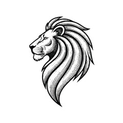 Fototapeta premium Detailed illustration of a lion head 3.