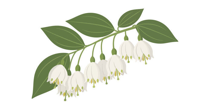 Japanese snowbell flower branch vector illustration isolated on black background