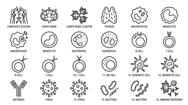 Line art icons depicting components of the human immune system, various immune cells, antibodies, and different types of microorganisms like viruses and bacteria.