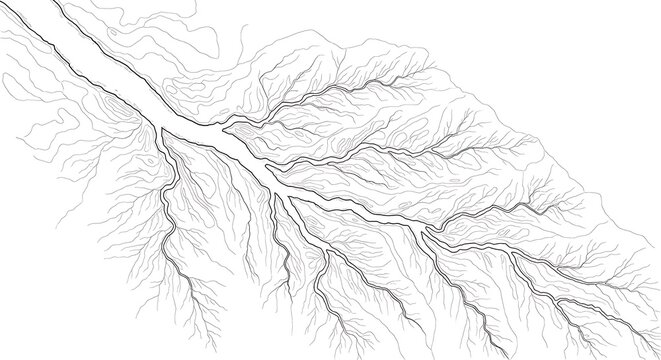 "Cartographic River System &ndash; Minimal Black and White Map Illustration"