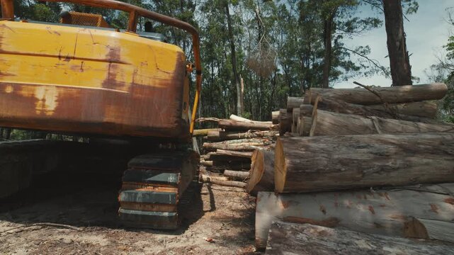 Logging machine moving past stacked tree trunks