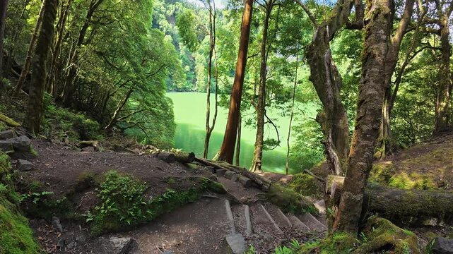 Forest Trail to Lagoa do Congro Lake, Azores