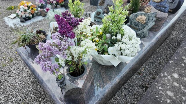Fresh lilac flowers on cemetery gravestone