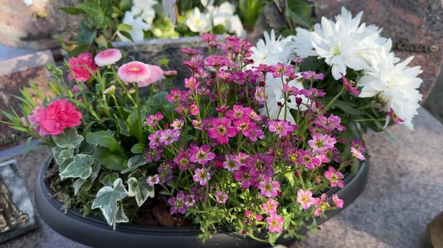 Colorful spring flower arrangement in cemetery pot