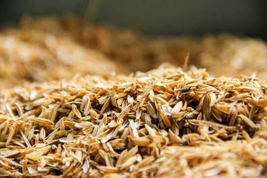 Texture of yellow rice husks