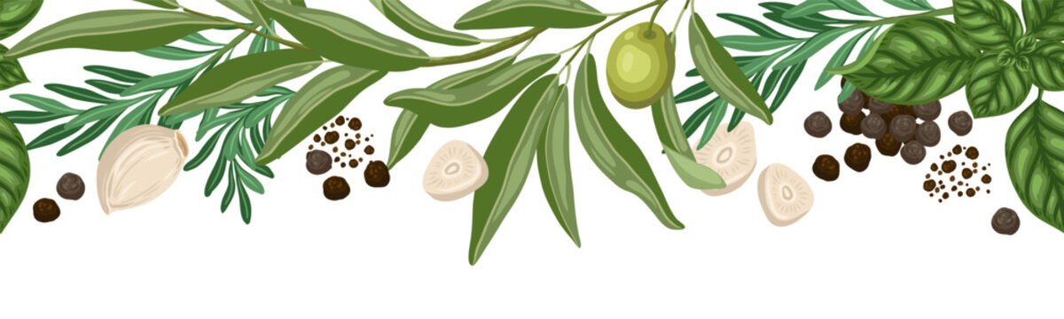 Seamless border of rosemary and black peppercorn. Lower vector hand drawn food illustration for kitchen and restaurant template. Cartoon repeat basil and garlic drawing perfect for washi tape graphic.