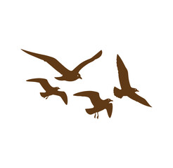 Fototapeta premium Brown silhouettes of four seagulls flying in formation isolated on white background