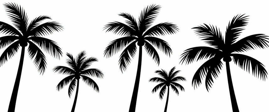 Silhouettes of Coconut Palm Trees on White Background