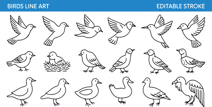 Birds Line Art Illustration Set Editable Stroke Minimal Outline Vector Collection