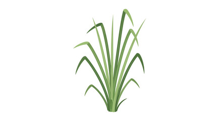Fototapeta premium Green Grass Clump Isolated on White Background