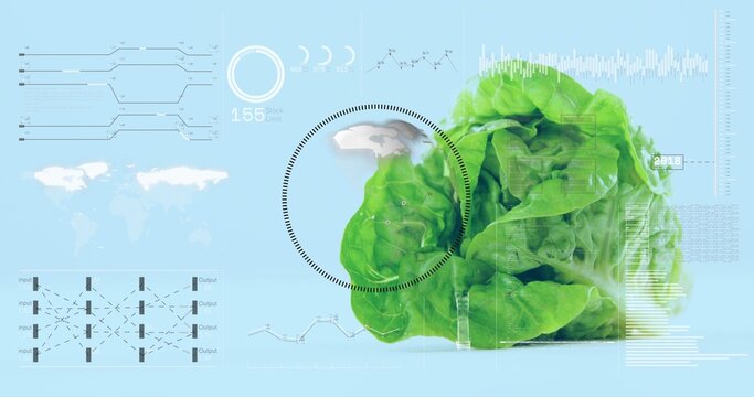 Showing green lettuce head on pale blue surface with reticle, graphs, bars, map, Input or Output flo