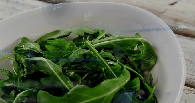 Displaying white ceramic bowl holding fresh arugula leaves in kitchen on wood table, water droplets