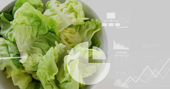 Displaying white bowl of butterhead lettuce leaves on studio tabletop, with digital overlays