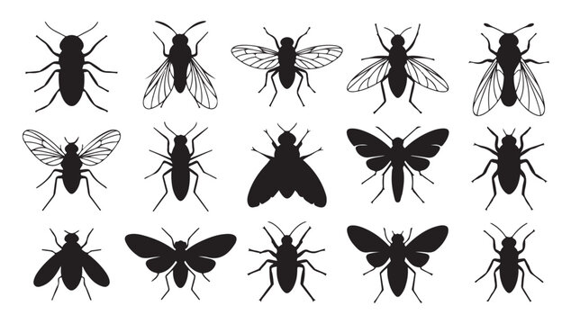 Black fly and winged insect silhouettes collection for pest control or nature infographics.