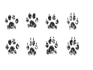 Set of grunge animal paw prints in black with distressed texture ideal for wildlife themes pet branding outdoor design rustic graphics and creative background projects © Hafiz
