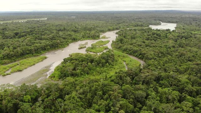 A small remnant of pristine rainforest beside Rio Pastaza. Most of the rainforest in the Palora area, Pastaza province, Ecuador has been cleared for agriculture
