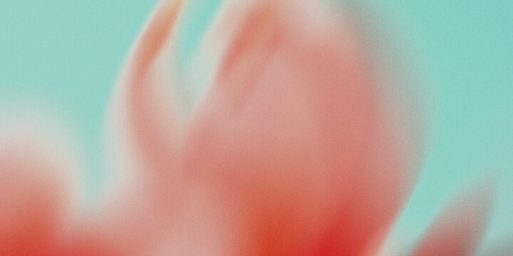 Abstract Flora: A delicate dance of colors and forms, where abstract petals softly blend against an ethereal backdrop, whispering of nature's beauty and artistic inspiration.
