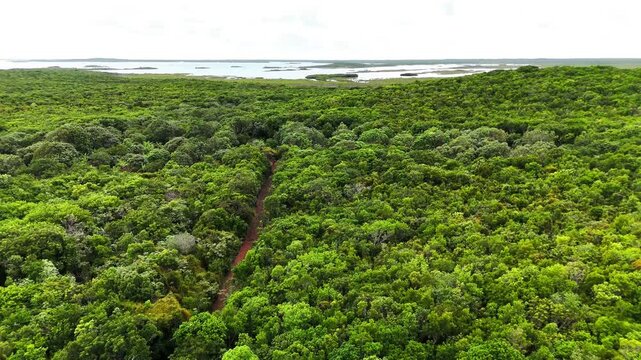 Aerial view of a narrow red dirt path winding through the dense tropical forest near Sapphire Blue Hole in The Bluff Settlement, North Eleuthera, The Bahamas.