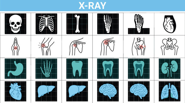 X ray medical icon set featuring human bones organs radiology scans diagnostic imaging and healthcare anatomy vector collection