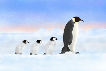 Obraz premium emperor penguins