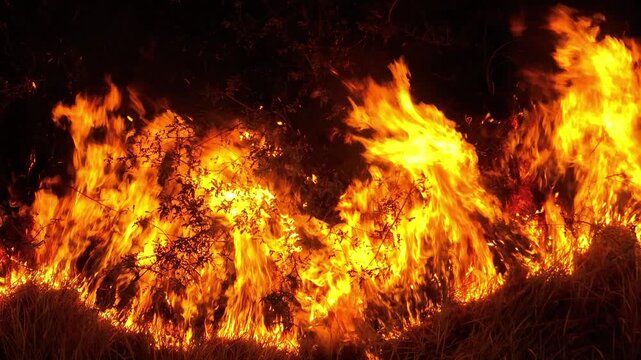 Drone aerial view captures raging wildfire burning through forest at night, illustrating uncontrolled fire spread, habitat loss, carbon emissions and growing concerns over land and climate resilience.