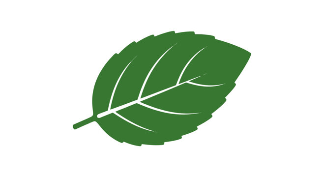 Single Green Leaf Illustration with Veins.