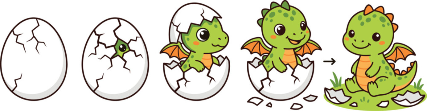 Cute Baby Dragon Hatching Sequence Illustration from Egg to Character Growth for Kids Fantasy Storytelling and Adorable Creature Evolution Vector Design