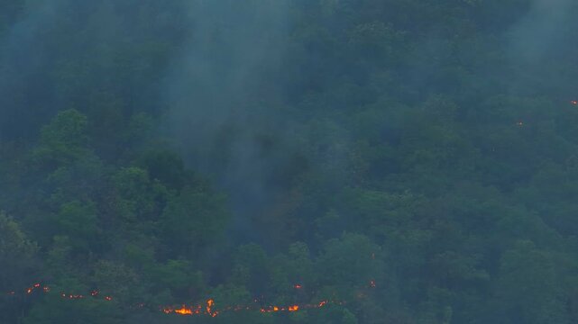 Aerial drone view of tropical forest wildfire with smoke and fire lines highlights global warming, climate change, extreme weather, biodiversity threats, and escalating wildfire risks. Thailand. 4k.
