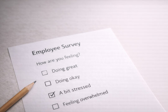 Workplace mental health employee survey stress