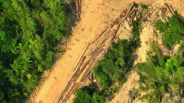 Aerial view of tropical deforestation with felled logs and shrinking rainforest highlights disappearing forests, biodiversity loss, climate change threats, and urgent global conservation challenges.
