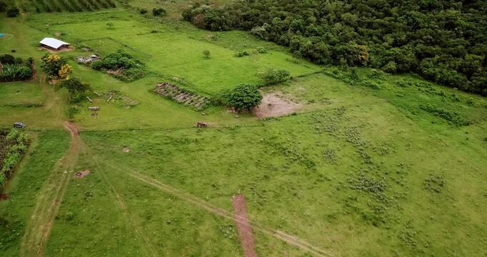 Aerial footage showing the devastating impact of deforestation. Green rainforest borders agricultural land, highlighting environmental damage and loss
