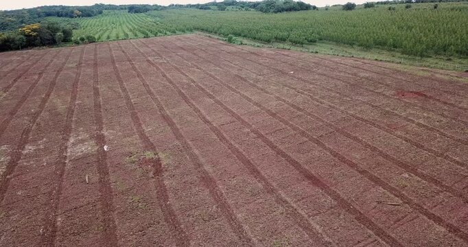 Aerial perspective moving backward revealing a vast landscape with plowed red soil ready for cultivation alongside a large green tree plantation