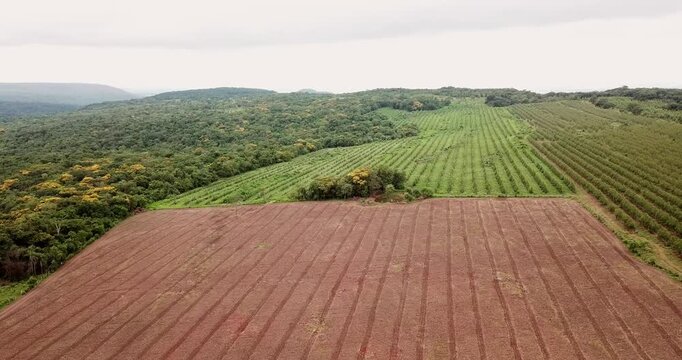Aerial footage showing the stark contrast between a lush forest and cleared land prepared for farming, highlighting deforestation issues