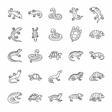 Collection of hand-drawn reptile icons including lizards, snakes, and turtles, presented in a clean, minimalist line art style.